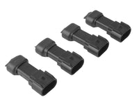 Thumbnail for Photo - Primary