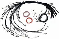 Thumbnail for Haltech NEXUS R5 Non DBW Terminated Harness - Injector Connector EV1