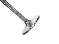 Thumbnail for Photo - Primary