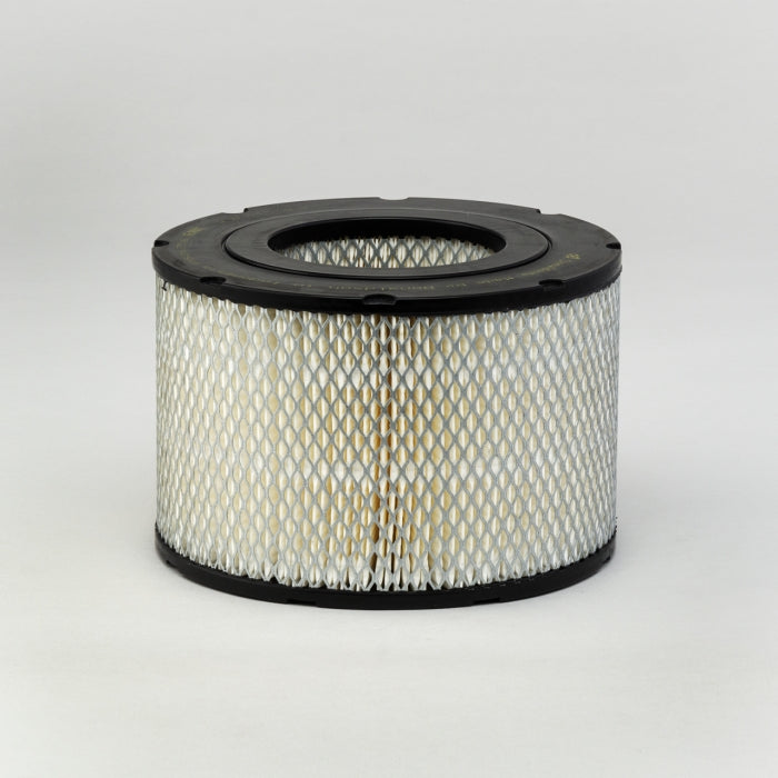 Donaldson P526756 Air Filter