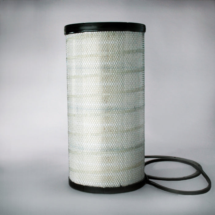 Donaldson P534925 Air Filter