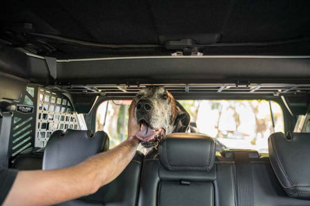DV8 Offroad 2021-2024 Ford Bronco Dog Barrier