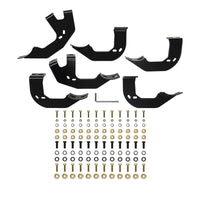 Thumbnail for Photo - Unmounted