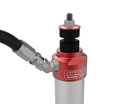 Thumbnail for Photo - Close Up