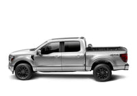 Thumbnail for Photo - Mounted