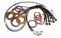 Thumbnail for Haltech NEXUS R5 Universal Wire-In Harness - 5M (16ft)