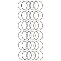 Thumbnail for User 3