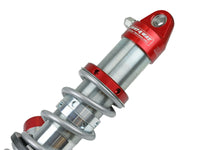 Thumbnail for Photo - Unmounted