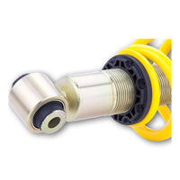 Thumbnail for User 7