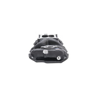 Thumbnail for Photo - Unmounted