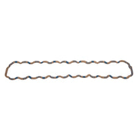 Thumbnail for Photo - Primary