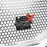 Thumbnail for Photo - Unmounted