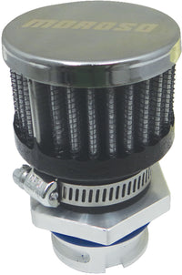 Thumbnail for Photo - Primary