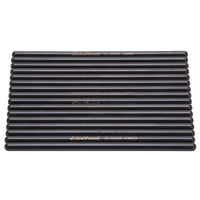 Thumbnail for Photo - Primary