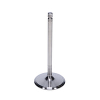 Thumbnail for User 2