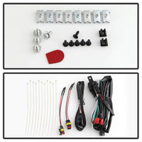 Thumbnail for Photo - Unmounted