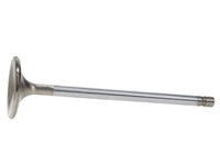 Thumbnail for User 1