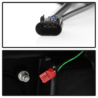 Thumbnail for Photo - Unmounted