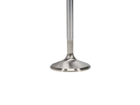 Thumbnail for Manley Nissan 3.5L V6 (VQ35DE VQ35DET) DOHC 24 Intake 37mm Stainless Race Master Valves