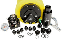 Thumbnail for Photo - Primary