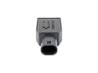 Thumbnail for Photo - Unmounted