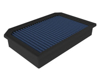 Thumbnail for Photo - Primary