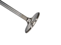 Thumbnail for Photo - Primary