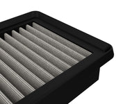 Thumbnail for Photo - Close Up