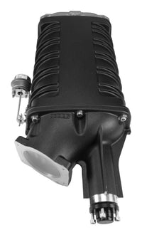 Thumbnail for Photo - Primary