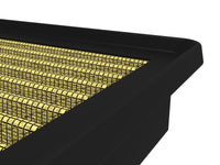 Thumbnail for Photo - Close Up