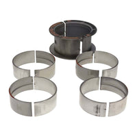 Thumbnail for User 2