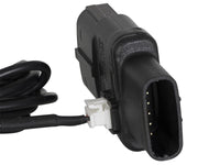 Thumbnail for Photo - Unmounted