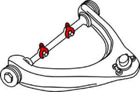 Thumbnail for Photo - Unmounted