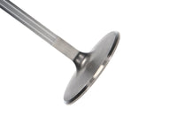 Thumbnail for Photo - Primary