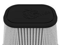 Thumbnail for Photo - Close Up