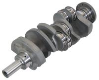 Thumbnail for User 1