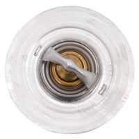 Thumbnail for Photo - Unmounted