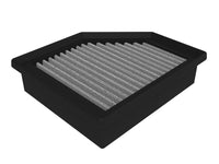 Thumbnail for Photo - Primary