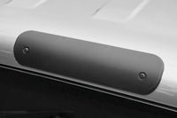 Thumbnail for Photo - Mounted