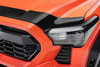 Thumbnail for Photo - Close Up