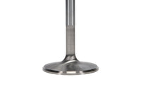 Thumbnail for User 3