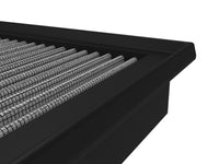 Thumbnail for Photo - Unmounted