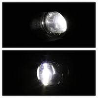 Thumbnail for Photo - Unmounted