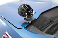 Thumbnail for Photo - Mounted