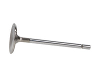 Thumbnail for User 1