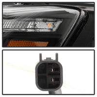 Thumbnail for Photo - Unmounted