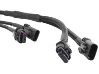 Thumbnail for Photo - Unmounted