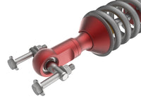 Thumbnail for Photo - Close Up