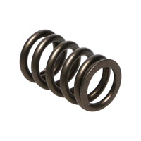 Thumbnail for Manley Nissan (RB26DET) 24pc Valve Springs