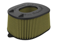 Thumbnail for aFe 2025 RAM 1500 RHO L6-3.0L (tt) Magnum FLOW Pro GUARD7 Air Filter